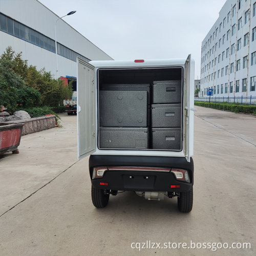 ZOLALA mini new energy vehicle low speed electric car for delivery takeaway pickup city car